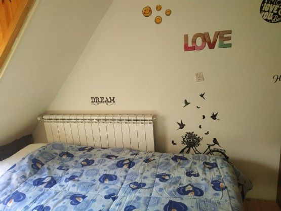Bujtina Guesthouse Bjeshket E Nemura Lepushe  dhoma me dy krevate tek  N...
